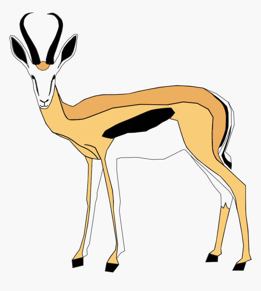 Springbok Clipart, HD Png Download, Free Download