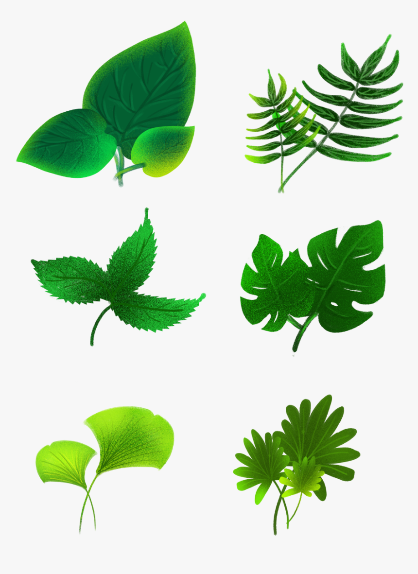 Transparent Green Plants Png, Png Download, Free Download