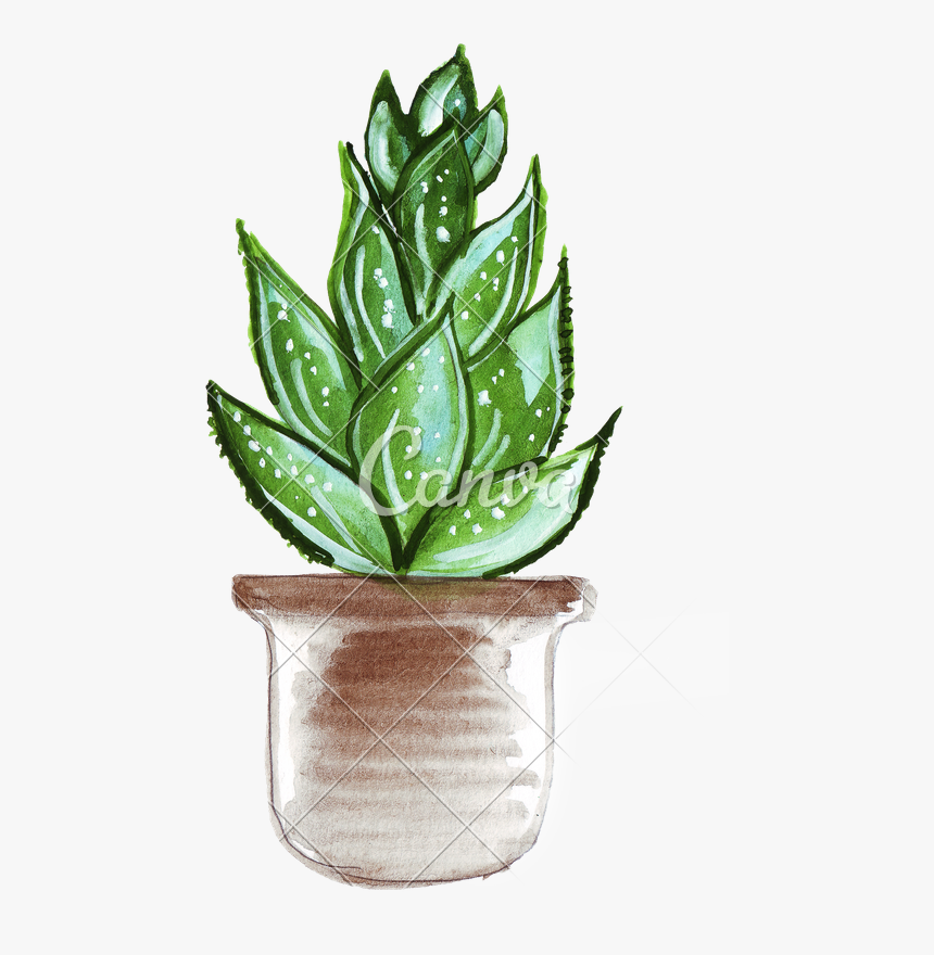 Transparent Cactus Png - Drawing Cactus Transparent Background, Png Download, Free Download