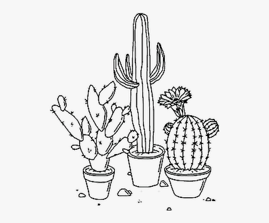 så meget hjemmelevering planer Plants Tumblr Nature - Cactus Aesthetic Png, Transparent Png - kindpng