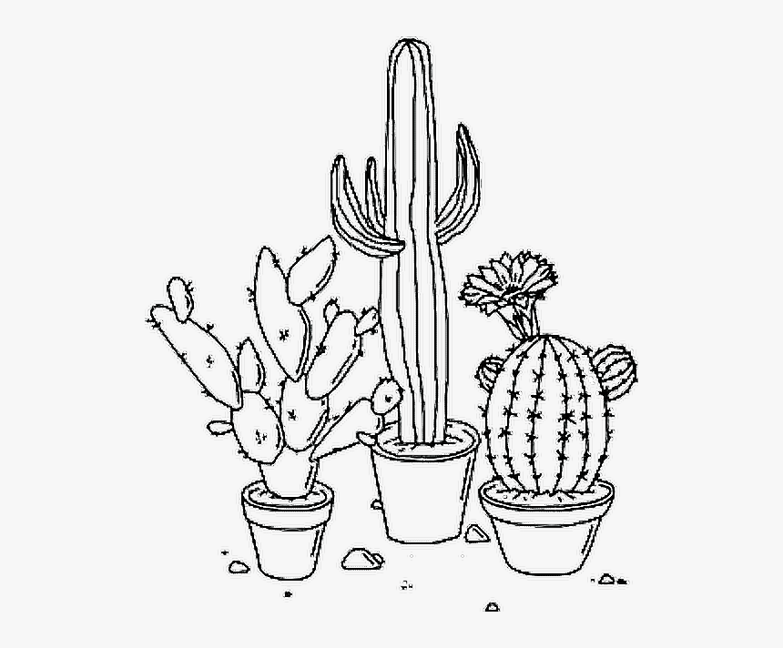 Plants Tumblr Nature - Cactus Aesthetic Png, Transparent Png, Free Download