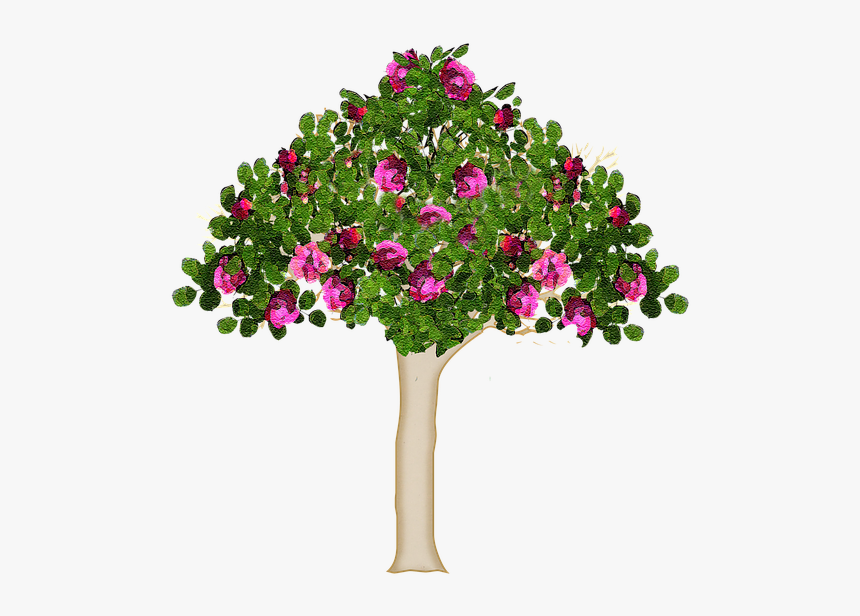 Tree, Nature, Forest, Summer, Flowering Tree, Branches - Дерево Лето Пнг, HD Png Download, Free Download