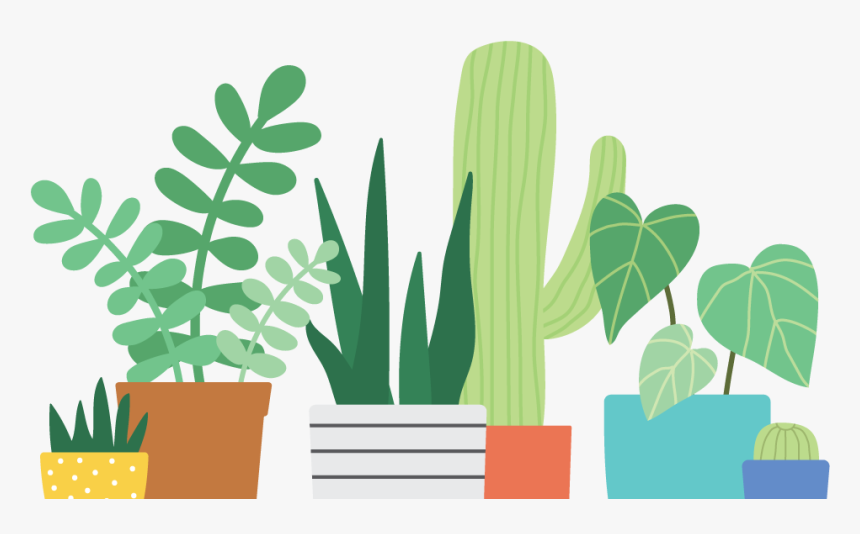 Why Choose Us Specialty - Artsy Cactus, HD Png Download, Free Download