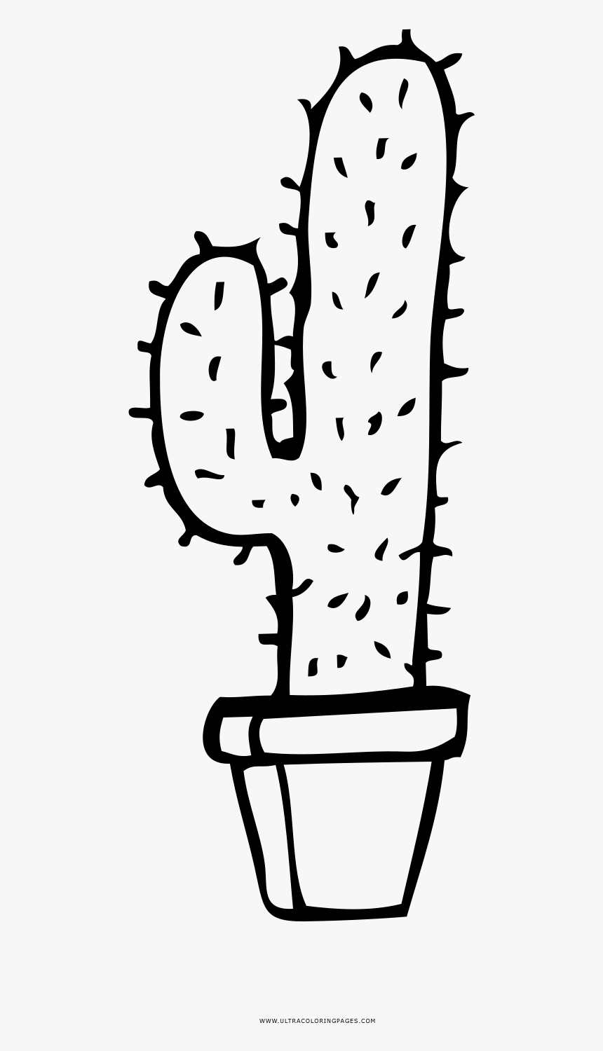 Cactus Coloring Page - Eastern Prickly Pear, HD Png Download, Free Download