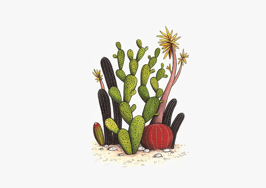 Cactaceae Drawing Watercolor Painting - Cactus Drawing Transparent Background, HD Png Download, Free Download