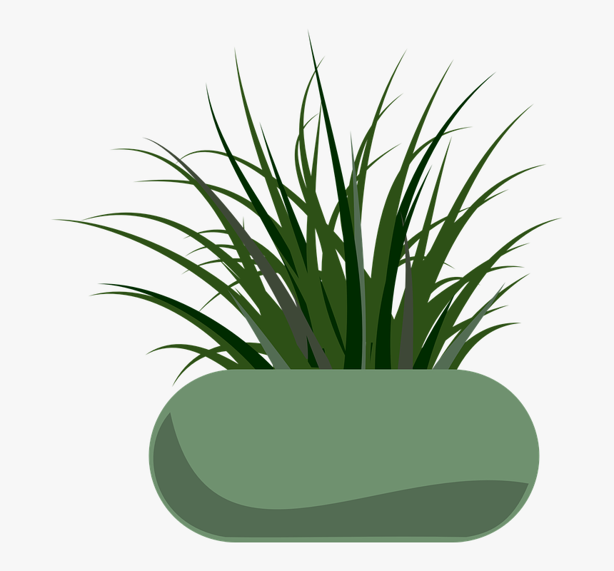 Planter Garden Free Vector - Grass Clip Art, HD Png Download, Free Download