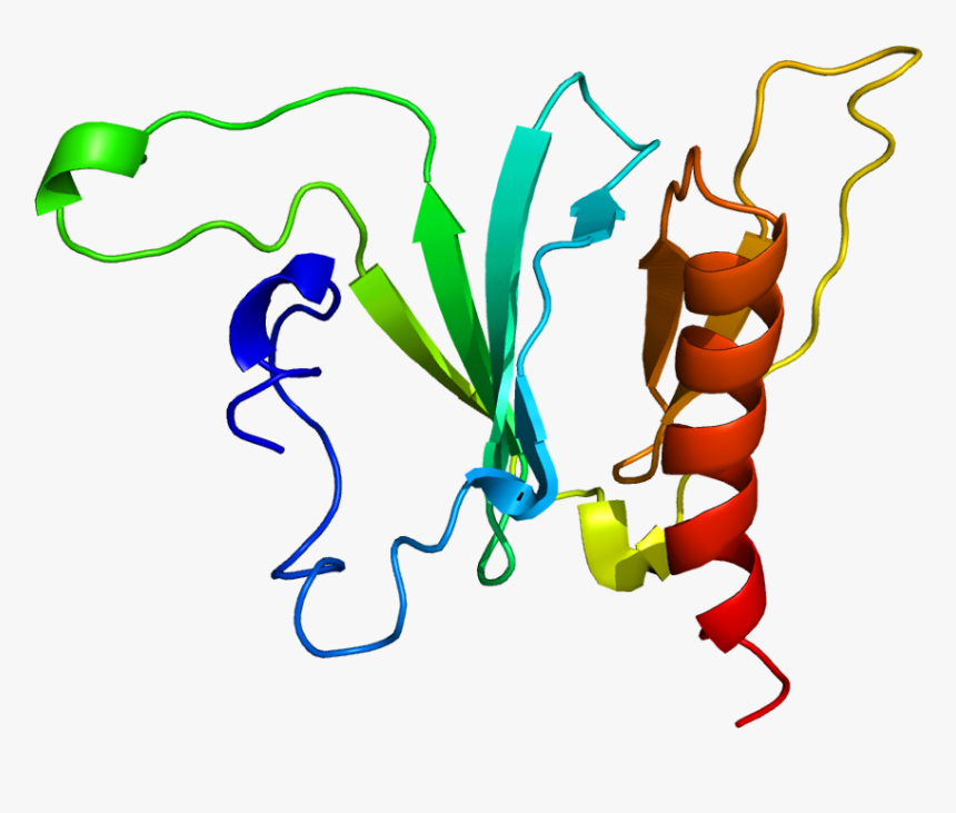 Protein Sos1 Pdb 1awe - Gene Sos1, HD Png Download, Free Download