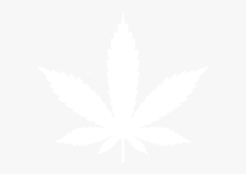 Doctors Of Cannabis Logo, HD Png Download, Free Download