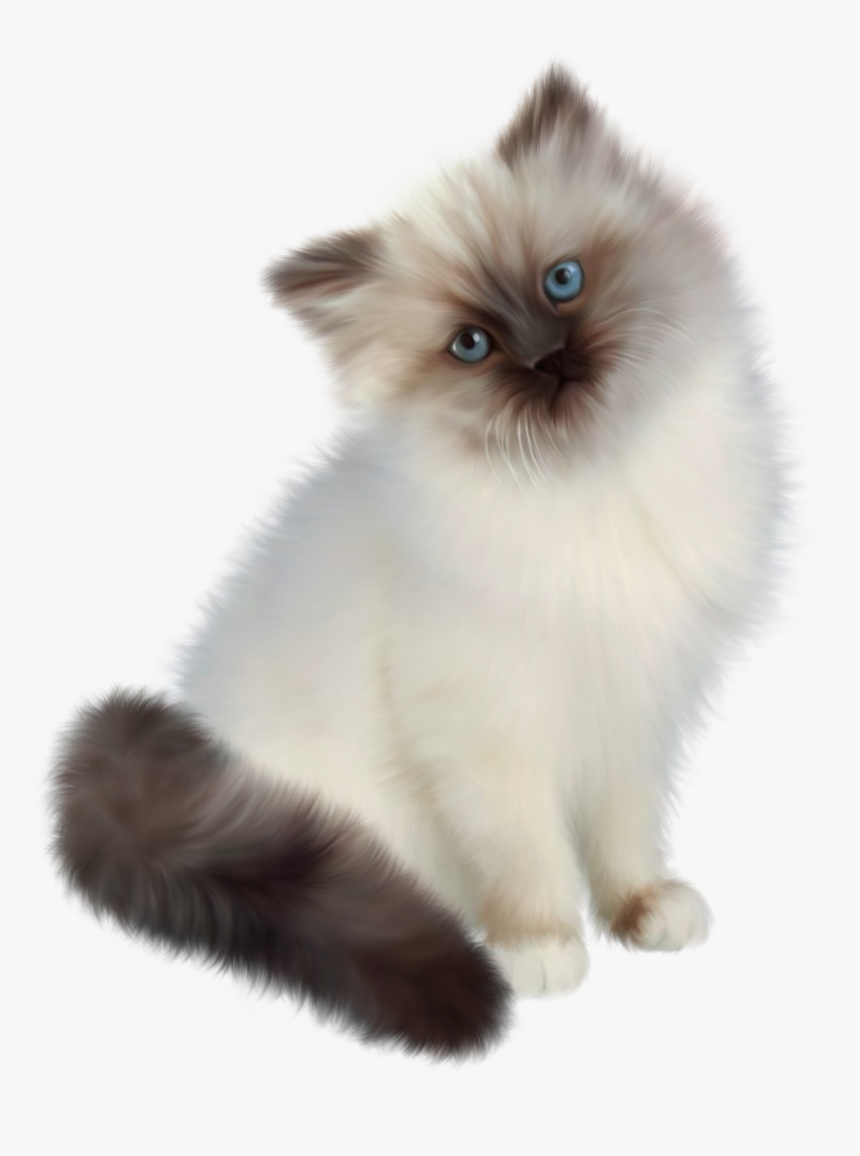 Kitten Transparent Png Clipart - Siamese White Persian Cat, Png Download, Free Download