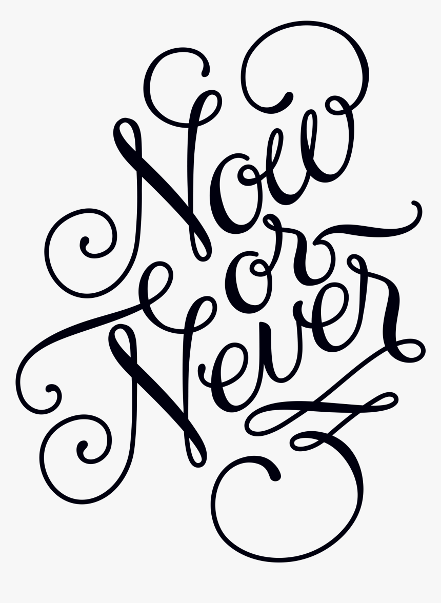 Now Or Never Calligraphy, HD Png Download, Free Download