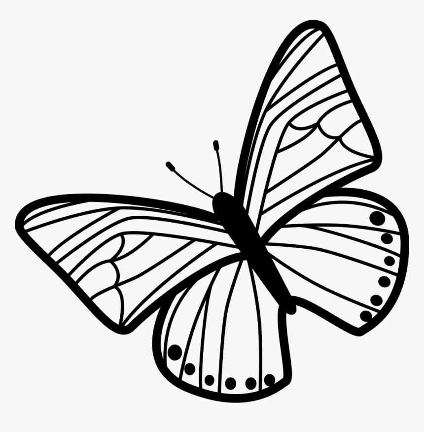Butterfly Of Thin Stripes Wings Pattern Rotated To, HD Png Download, Free Download