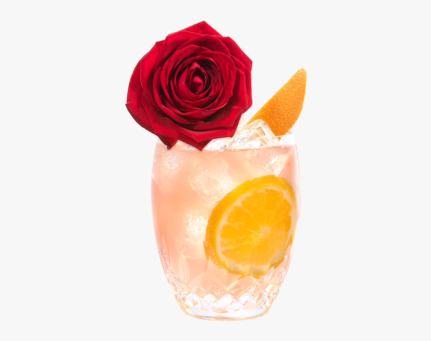 Cointreau Rosebud Fizz - Rose, HD Png Download, Free Download