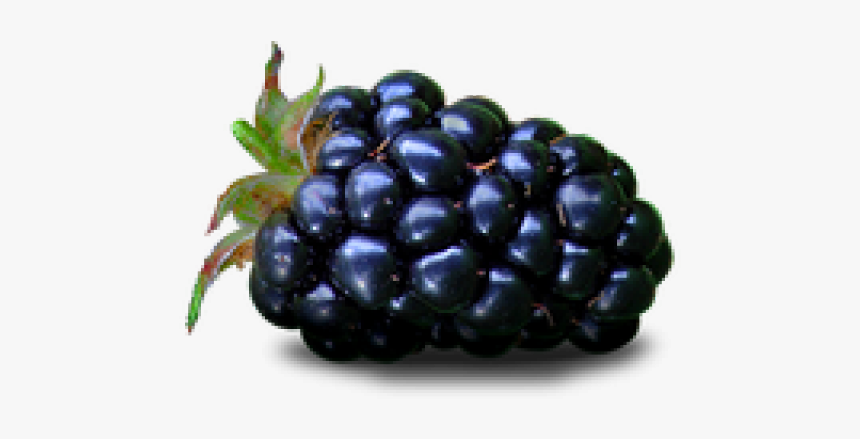 Blackberry Fruit Png Transparent Images - Purple Colour Fruit Name, Png Download, Free Download