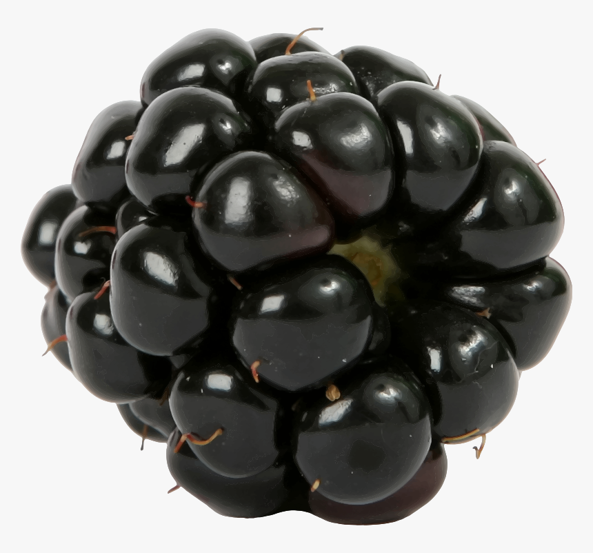 Blackberry Png Image - Blackberry Transparent, Png Download, Free Download