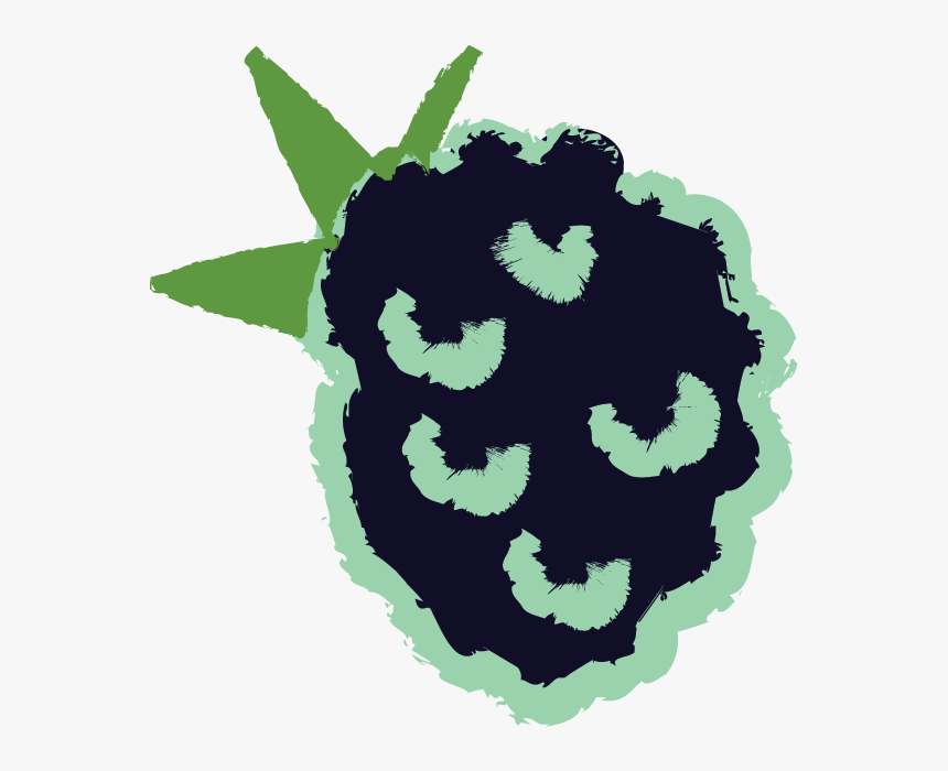 Organic Blackberries - Illustration, HD Png Download, Free Download