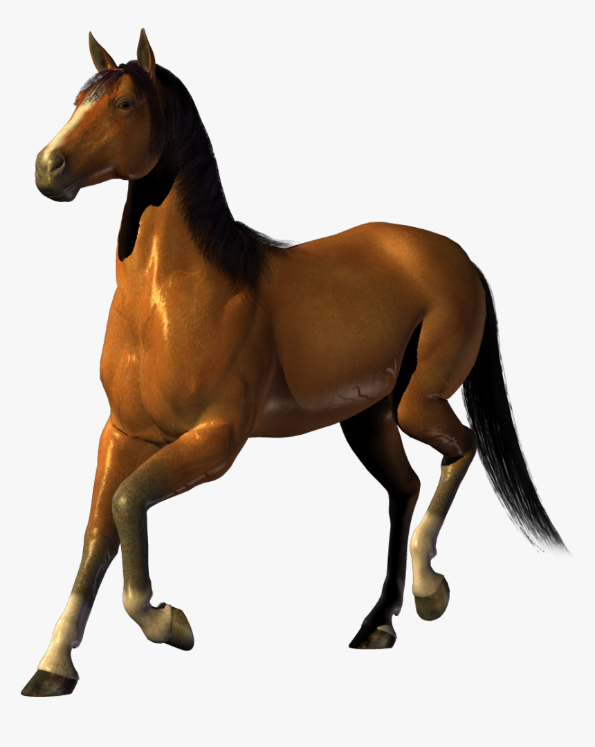 Horse Png Image, Free Download Picture - Horse With Clear Background, Transparent Png, Free Download