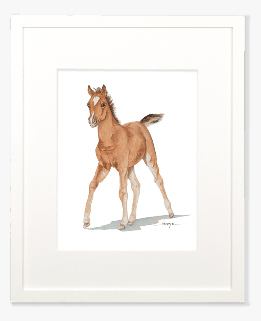 Baby Horse Wall Art"
 Class= - Baby Horse Png, Transparent Png, Free Download