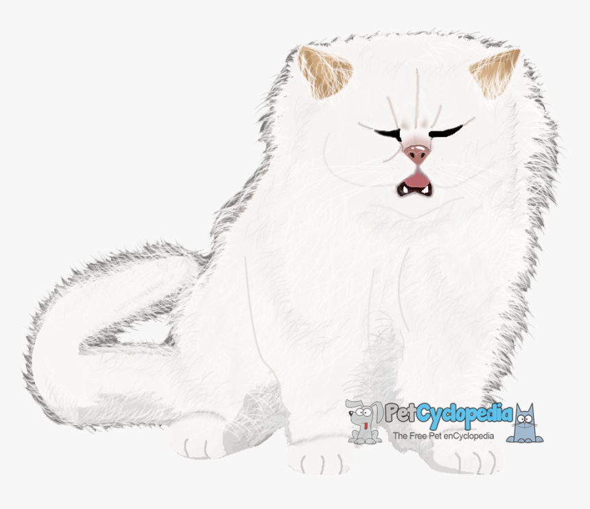 Cat Yawns, HD Png Download, Free Download