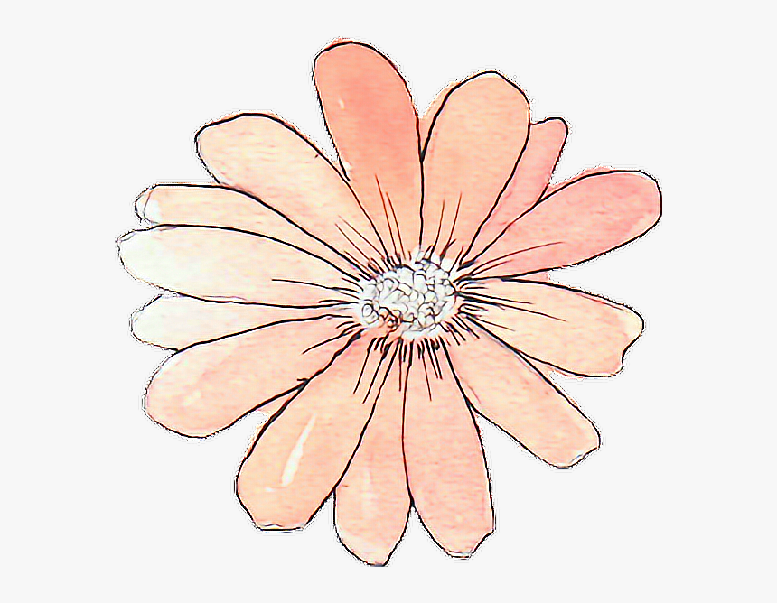 Tumblr Drawing Watercolor Peach Flower - Flowers Png Tumblr Draw, Transparent Png, Free Download