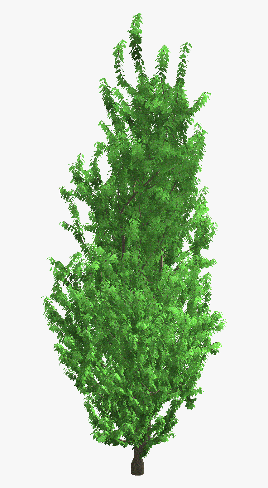 Christmas Tree, HD Png Download, Free Download