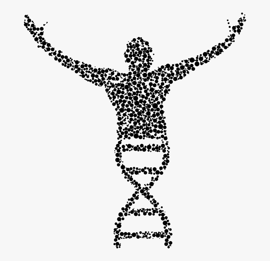 Molecular Biology Free Png - Biology Png, Transparent Png, Free Download