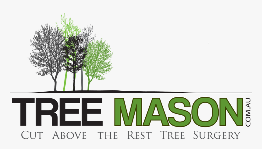 Tree Mason, HD Png Download, Free Download