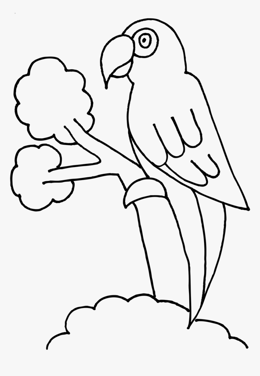 Bird Colouring Png, Transparent Png, Free Download