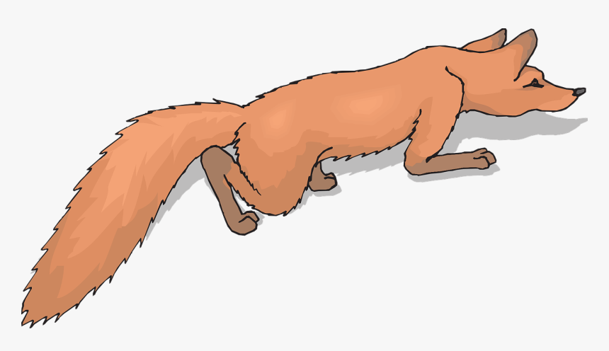 Fox Crawling, HD Png Download, Free Download