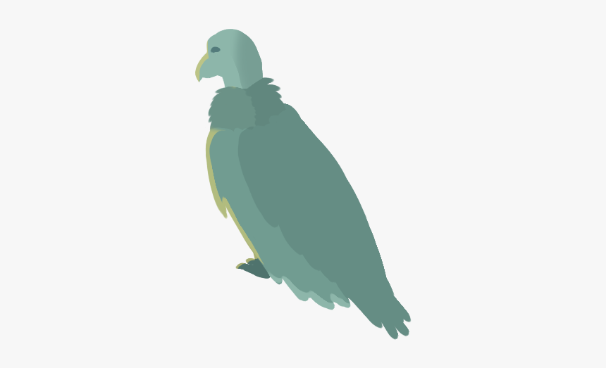 Parrot, HD Png Download, Free Download