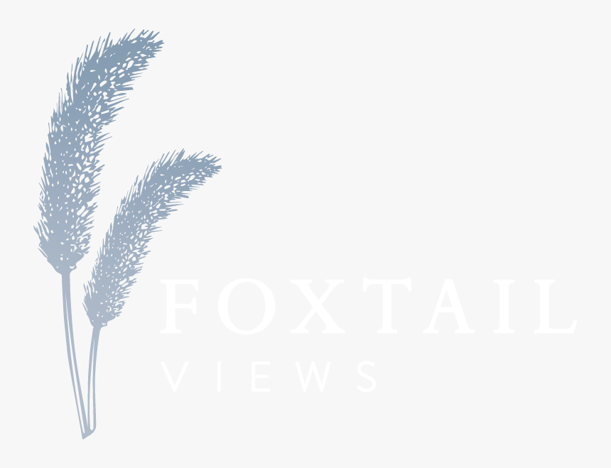 Foxtail Views - Phragmites, HD Png Download, Free Download