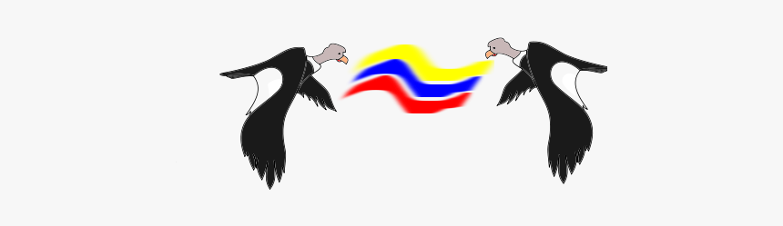 Condor Colombiano - Imagenes De Condores Colombianos, HD Png Download, Free Download