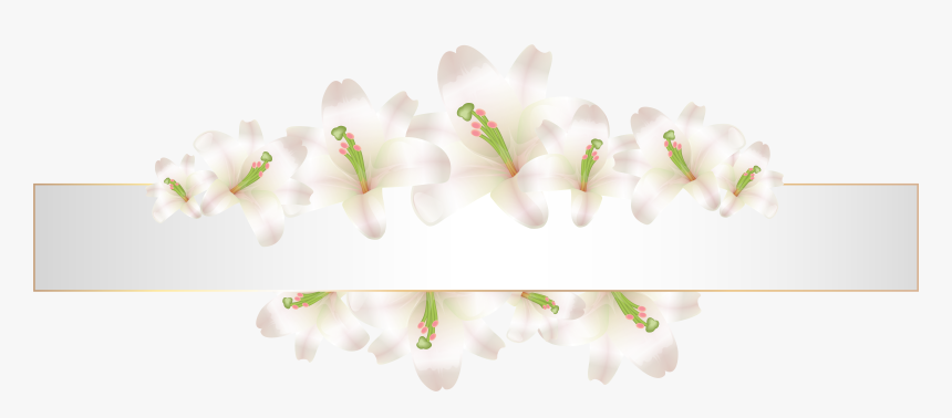 Soft Deco Banner With Flowers Png Clip Art - White Flowers Banner Png, Transparent Png, Free Download