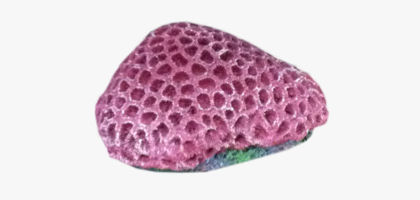 Sea Coral Png - Coin Purse, Transparent Png, Free Download