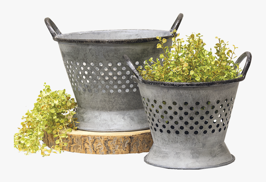 Weathered Tin Colander From Cwi Gifts - Grass, HD Png Download, Free Download