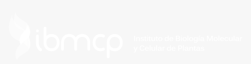 Instituto De Biología Molecular Y Celular De Plantas - Hyatt White Logo Png, Transparent Png, Free Download