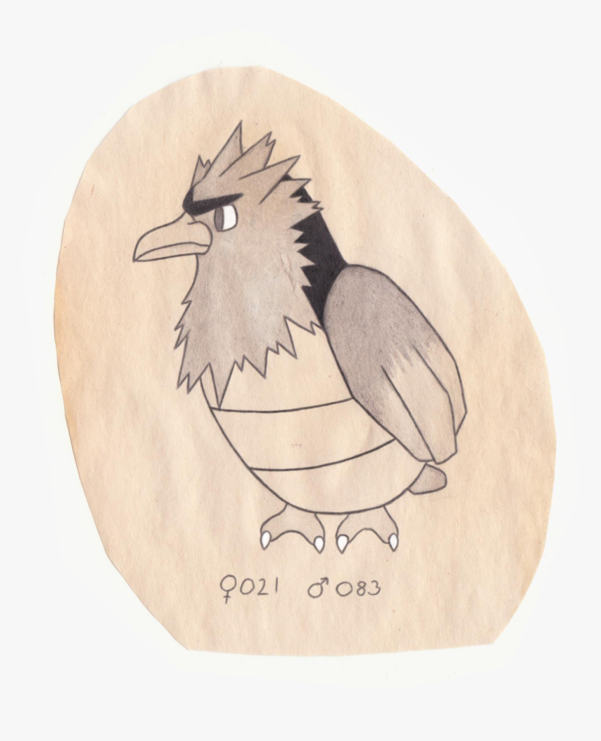 Tiny Bird Pokemon - Illustration, HD Png Download, Free Download