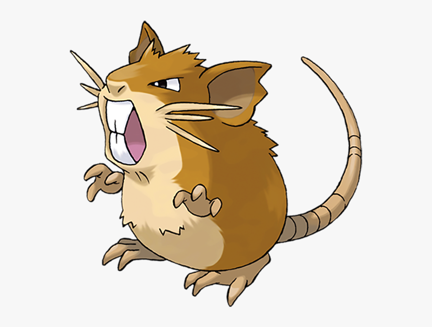 Pokémon Raticate - Rattata Pokemon, HD Png Download, Free Download