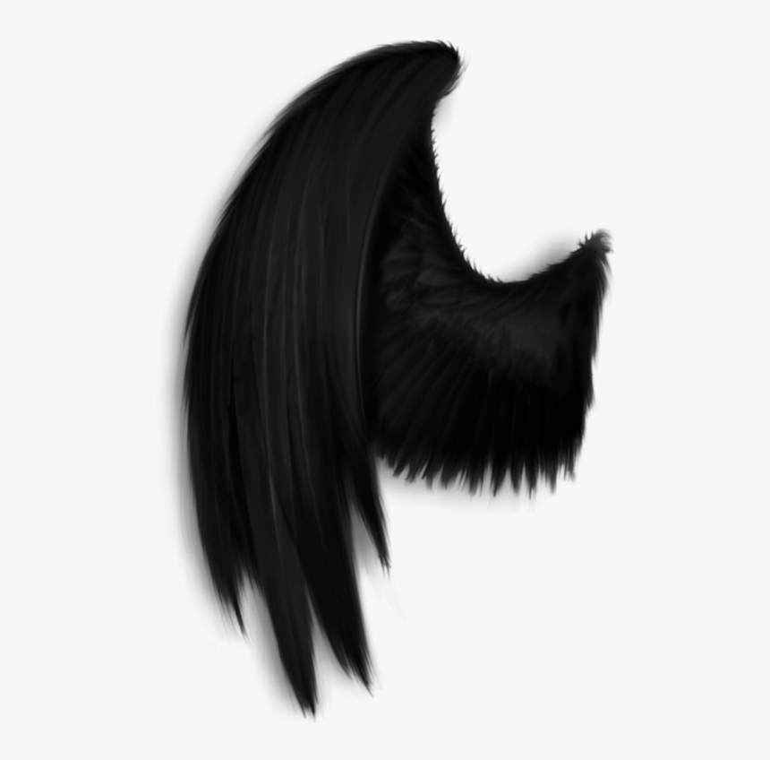 Transparent Dark Angel Png - Transparent Dark Angel Wing, Png Download, Free Download