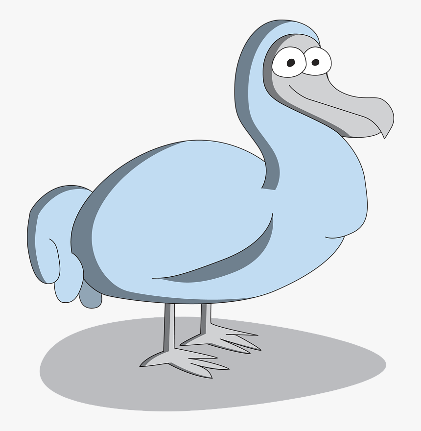 Transparent Dodo Clipart - Duck, HD Png Download, Free Download