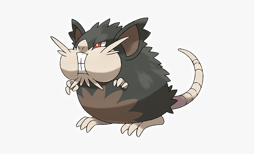 Pokemon Raticate Alola, HD Png Download, Free Download