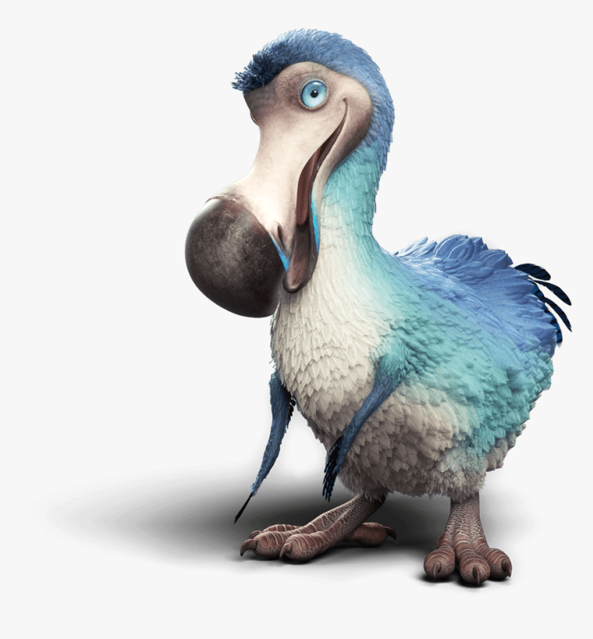 Page Not Found - Suliformes, HD Png Download, Free Download