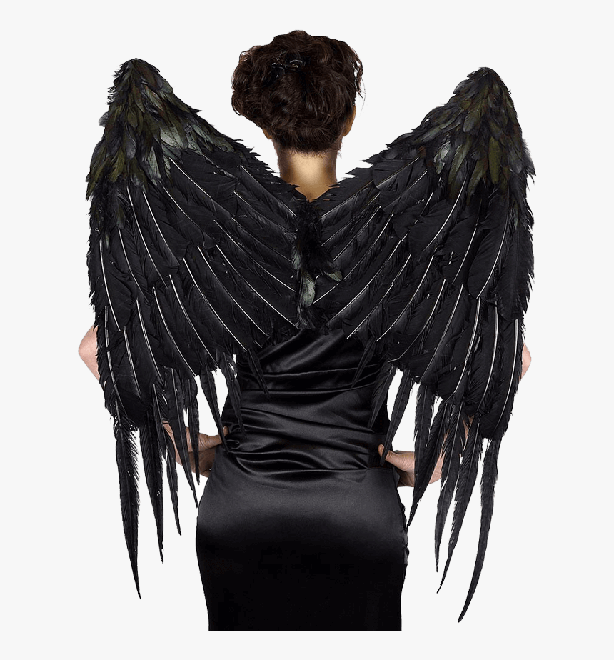 Dark Angel Feather Wings - Black Wings Costume Mechanical, HD Png Download, Free Download