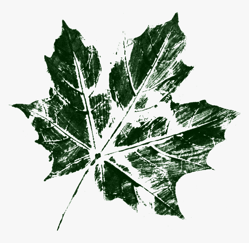 Maple Leaf, HD Png Download, Free Download