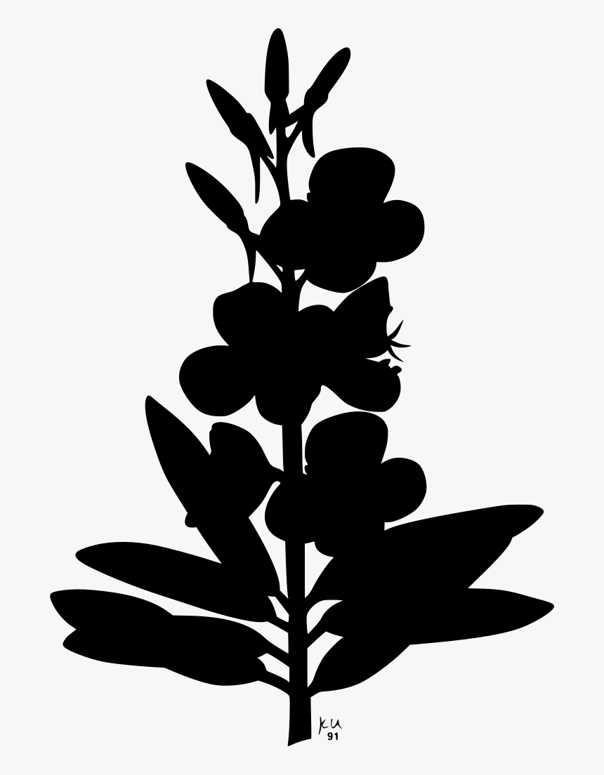 Fireweed Png, Transparent Png, Free Download