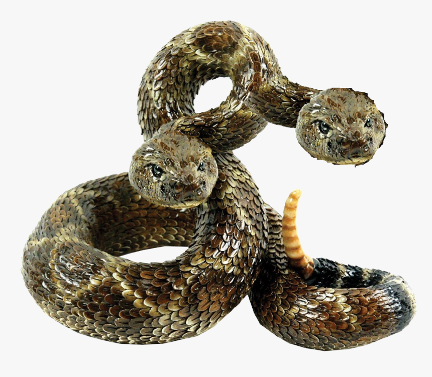 Rattler - Two Headed Rattlesnakes Fallout, HD Png Download, Free Download