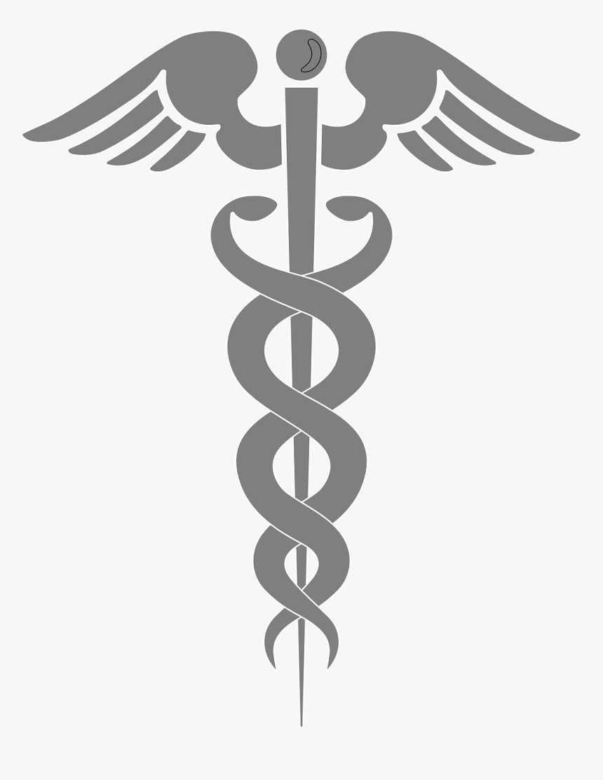 Aesulapian Staff 306238 - Clip Art Physician Assistant, HD Png Download, Free Download