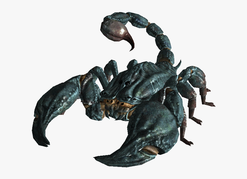 [​img] - Fallout New Vegas Radscorpion, HD Png Download, Free Download