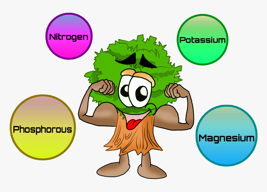 Nutrients For Plants Clip Art - Plant Nutrition Clip Art, HD Png Download, Free Download