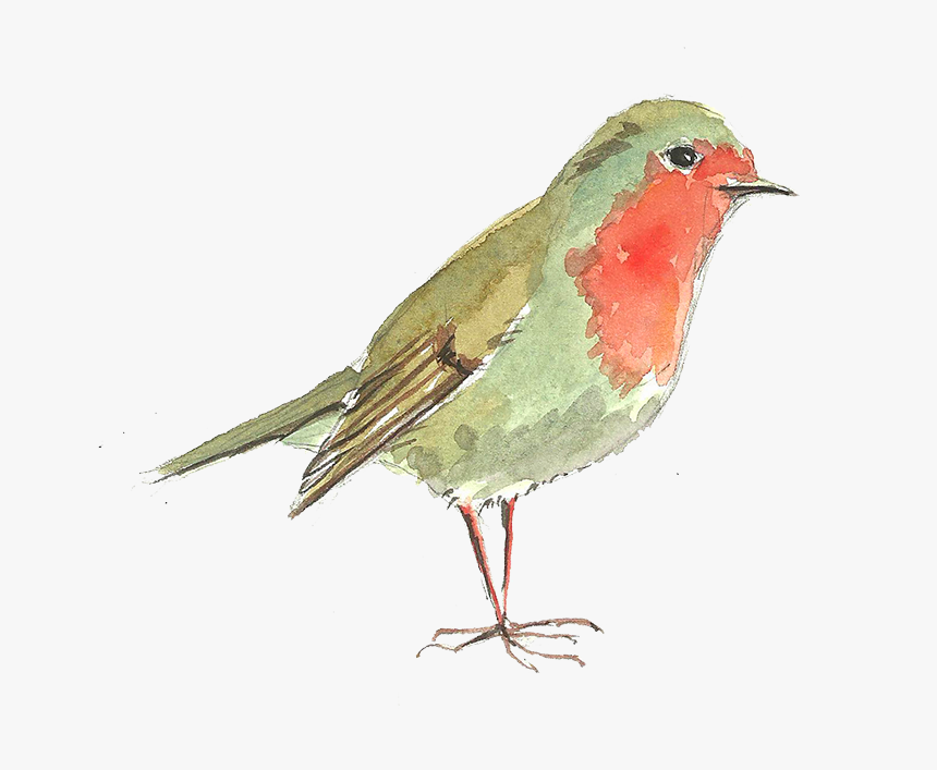 Clip Art Computer File Transprent Png - Robin Redbreast, Transparent Png, Free Download