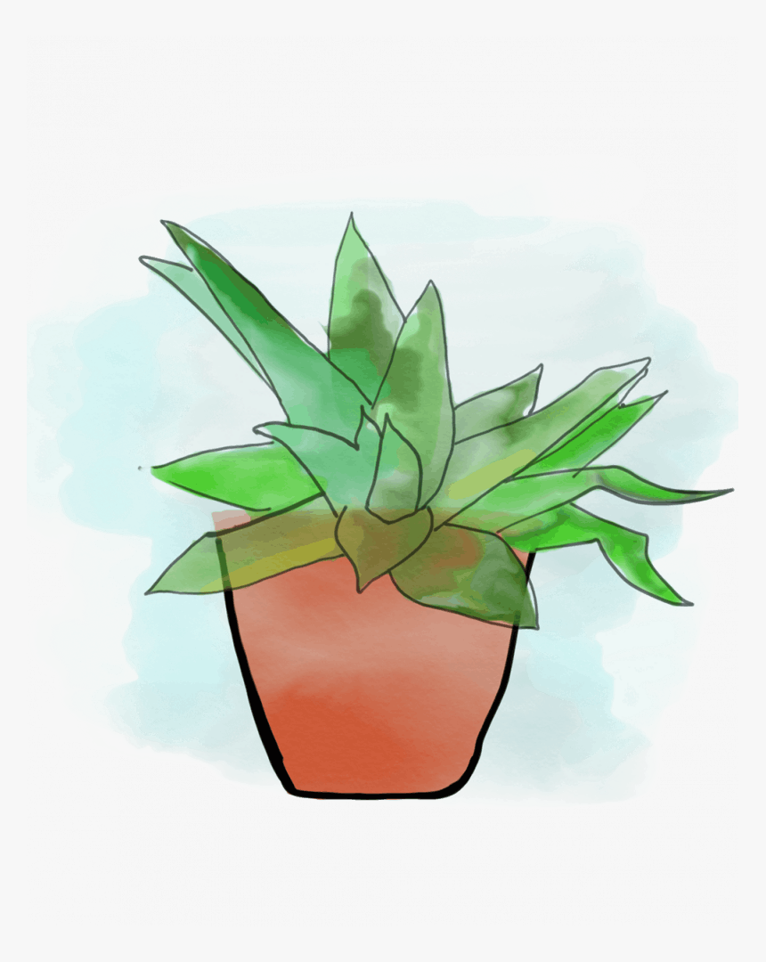 Houseplant, HD Png Download, Free Download